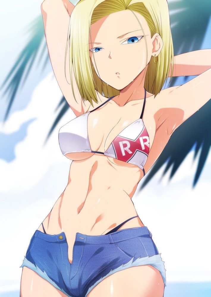 Dragon ball z android 18